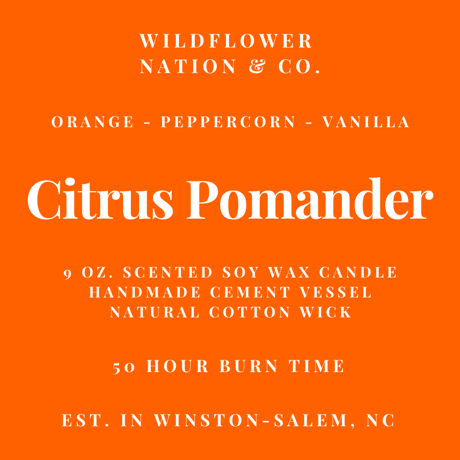 Citrus Pomander - Handmade Vessel - 9 oz. Soy Wax Candle