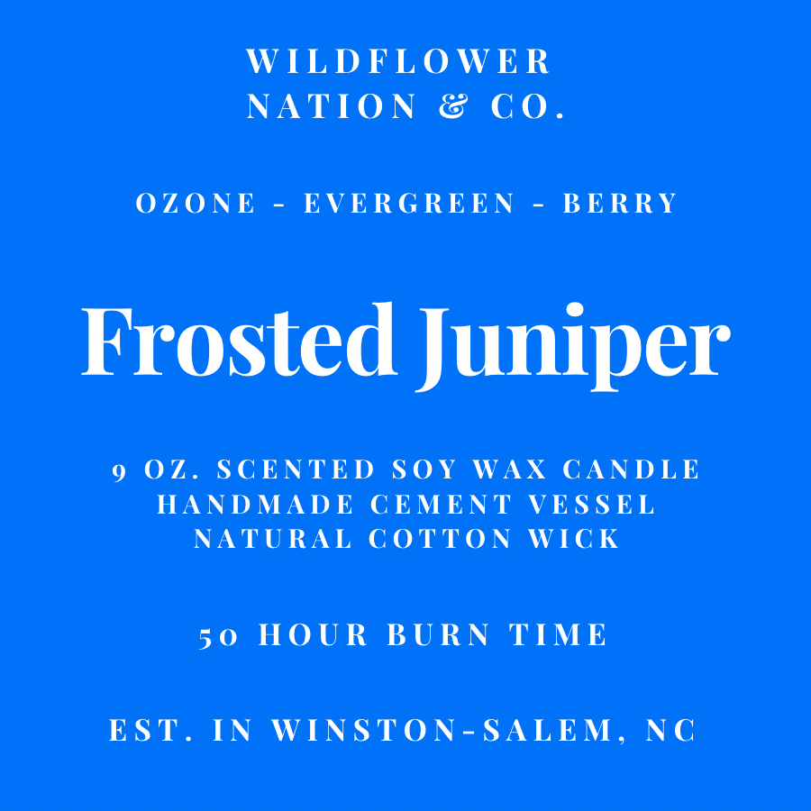 Frosted Juniper - Handmade Vessel - 9 oz. Soy Wax Candle