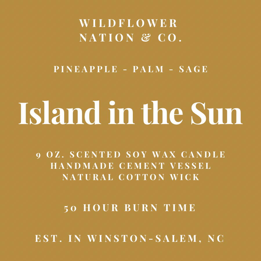Island in the Sun - Handmade Vessel - 9 oz. Soy Wax Candle